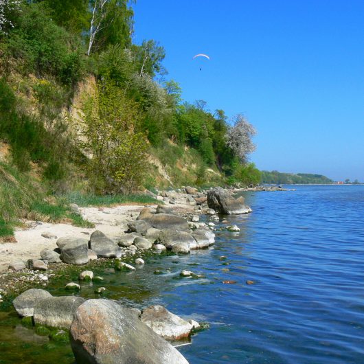 Osłonino._Klif_nad_Zatoką_Pucką fot. Piotr Widerski